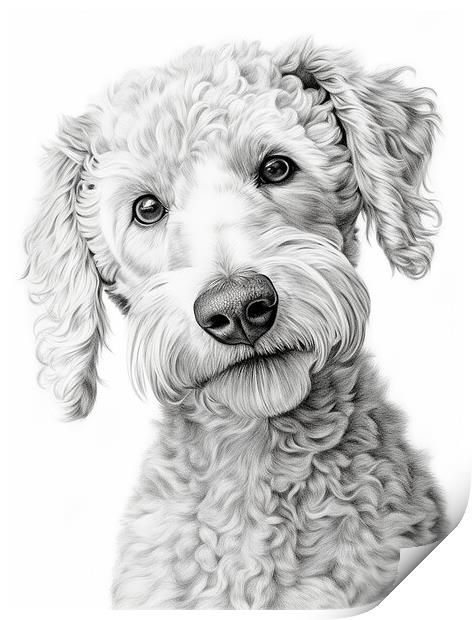 Bedlington Terrier Pencil Drawing Print by K9 Art