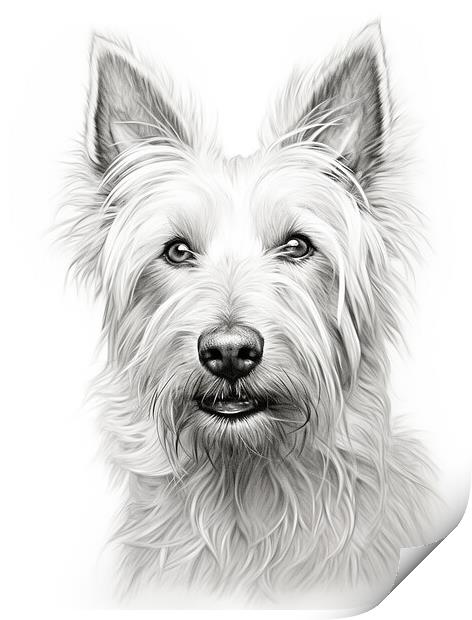 Berger Picard Pencil Drawing Print by K9 Art