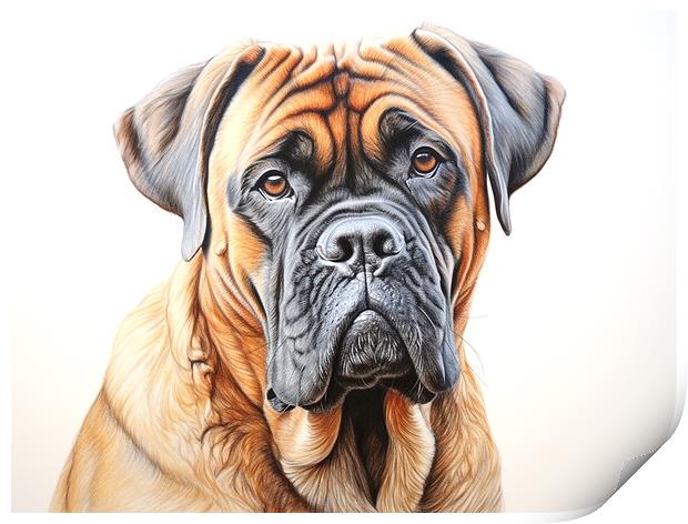 Bullmastiff Pencil Drawing Print by K9 Art