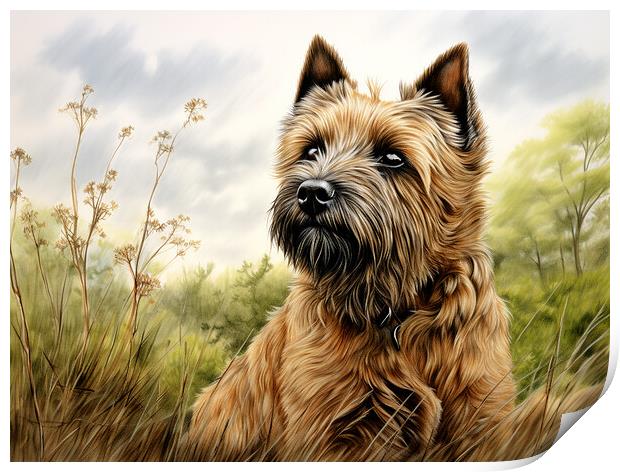 Cairn Terrier Pencil Drawing Print by K9 Art