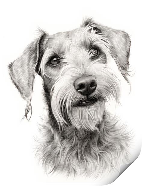 Cesky Terrier Pencil Drawing Print by K9 Art