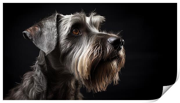 Cesky Terrier Print by K9 Art