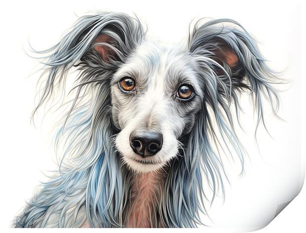 Chinese Crested Pencil Drawing Print by K9 Art