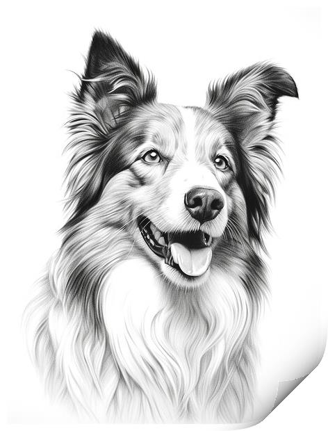 Collie Pencil Drawing Print by K9 Art