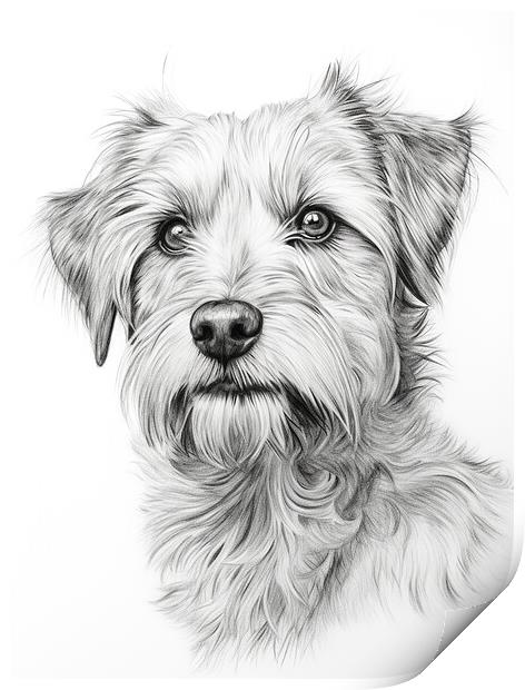 Deutscher Wachtelhund Pencil Drawing Print by K9 Art