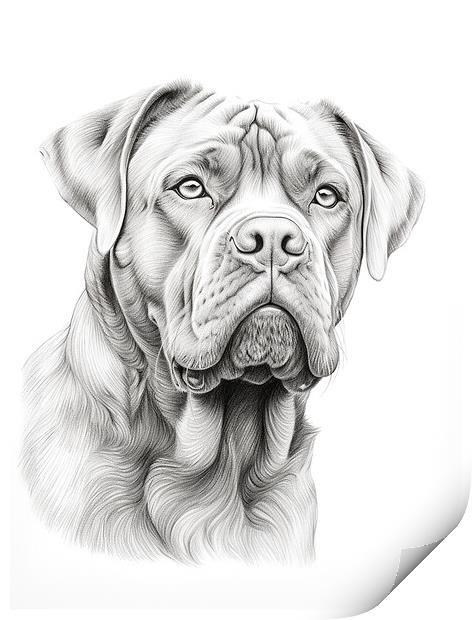 Dogue de Bordeaux Pencil Drawing Print by K9 Art