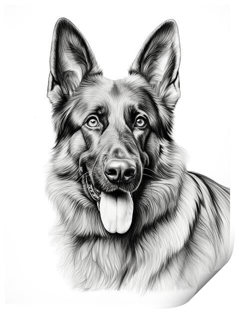 German Shepherd Dog Pencil Drawing Print by K9 Art