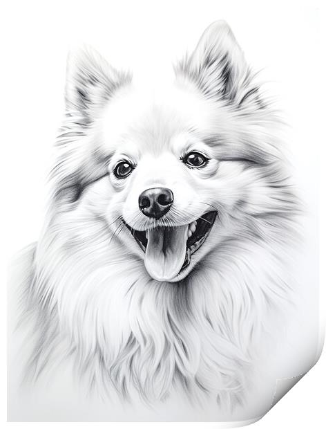 German Spitz Pencil Drawing Print by K9 Art