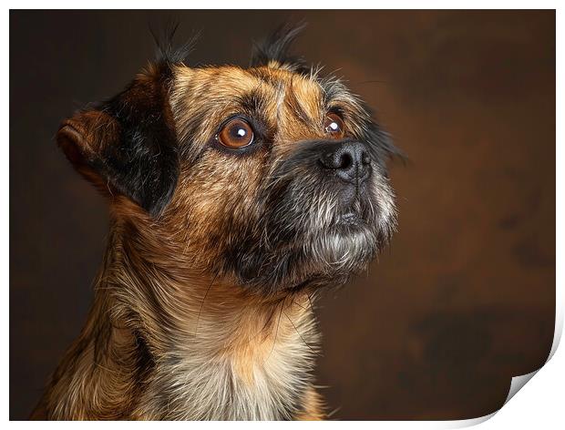 Border Terrier Portrait Print by K9 Art