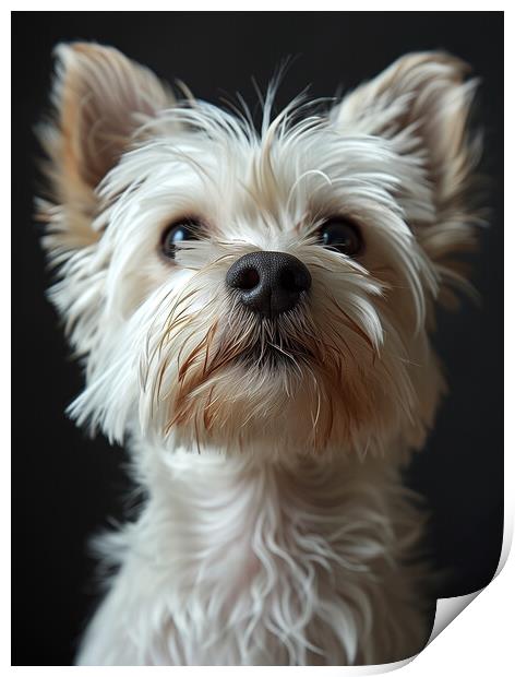 West Highland Terrier Print by K9 Art