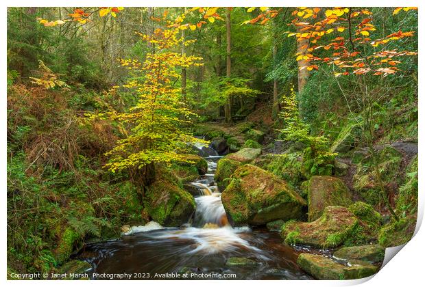Fairy Tale- Wyming Brook Print by Janet Marsh  Photography