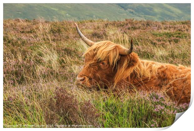 Highland Cow Print by Michele Leppier