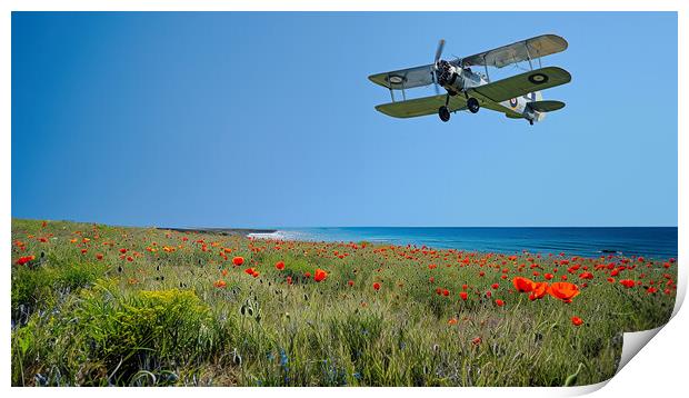 Days Gone By Print by Airborne Images