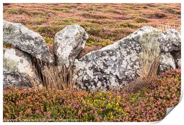 Cornish Coast Colours Print by Phil Lane