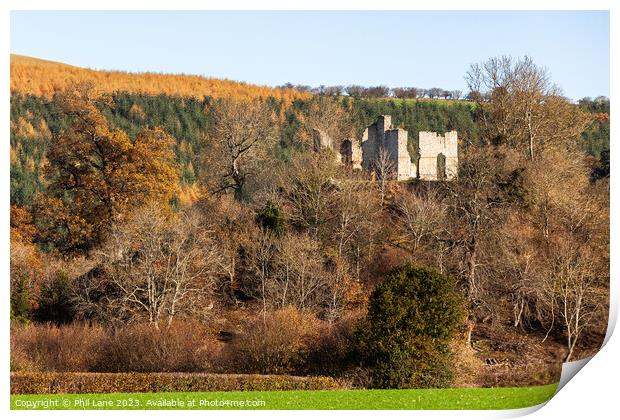 Stapleton Castle Ruins Print by Phil Lane