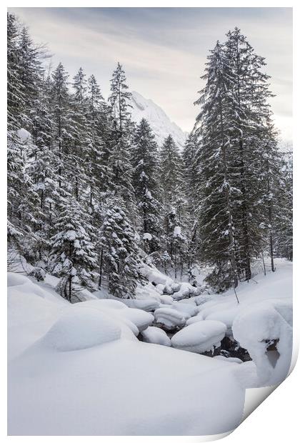 Snow Picturesque Scene in Winter Print by Olga Peddi