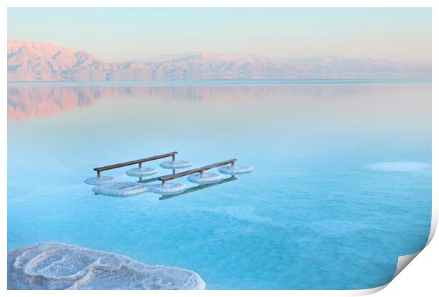 Salt deposits, typical landscape of the Dead Sea,  Print by Olga Peddi