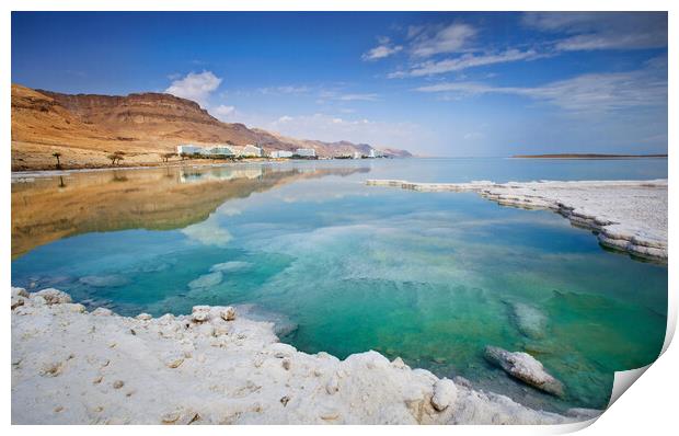 Salt deposits, typical landscape of the Dead Sea. Print by Olga Peddi