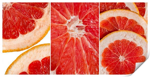 Collage of fresh slices of red grapefruit Print by Olga Peddi