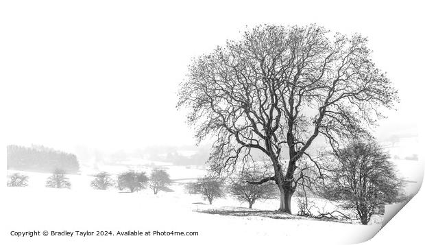Winter on The Chevin, West Yorkshire Print by Bradley Taylor