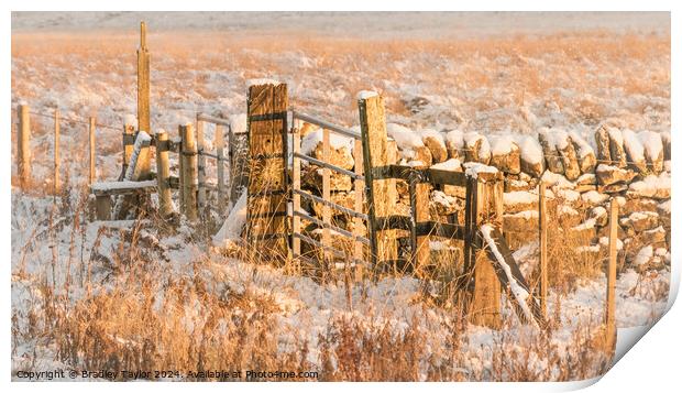 Gate, Stile & Dry Stone Wall, Yorkshire Dales Print by Bradley Taylor