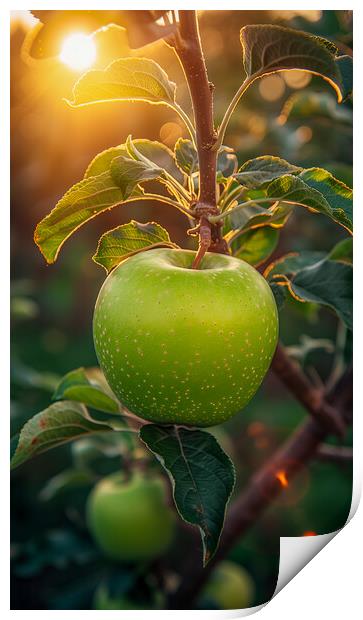 Green Apple Print by T2 