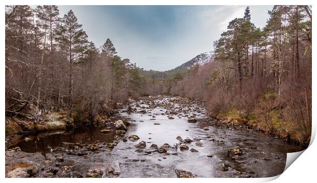 Dog Falls Print by Jack Biggadike