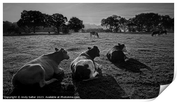 The Three Cows Print by Andy Salter