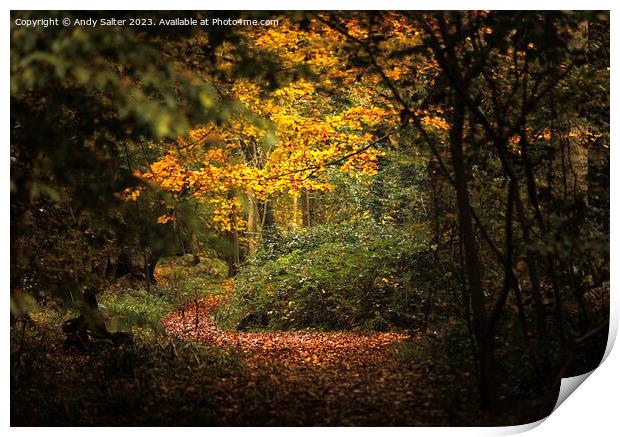 Autumn Walk at Hanningfield Reservoir Print by Andy Salter