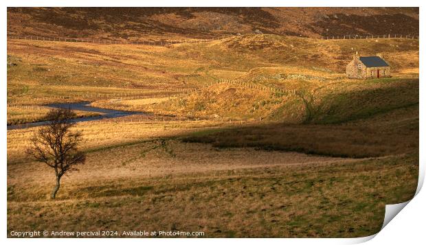 Outdoor field Print by Andrew percival