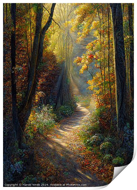 Autumn Woodland II Print by Harold Ninek