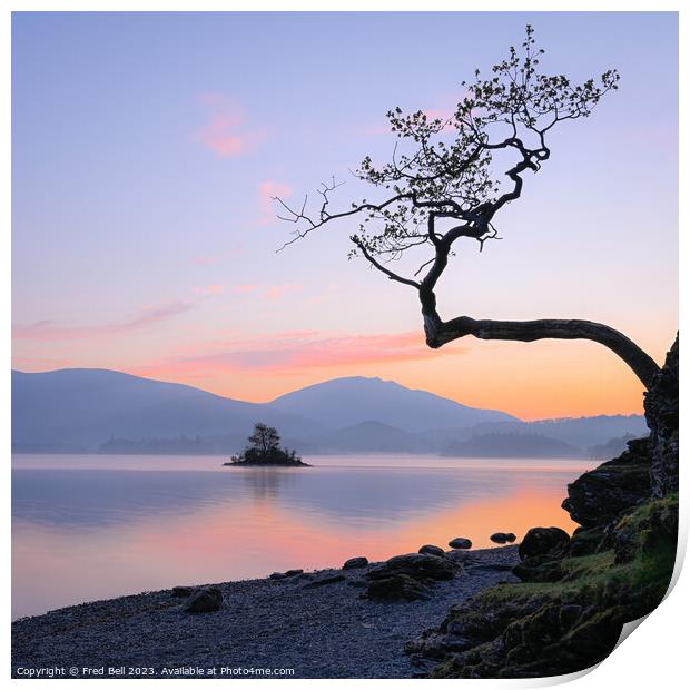 Dawn on Derwentwater Lake District Print by Fred Bell