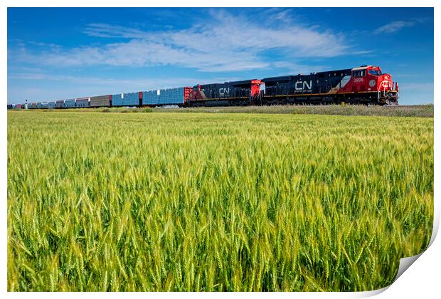 locomotives pulling general freight pass a spring wheat field Print by Dave Reede