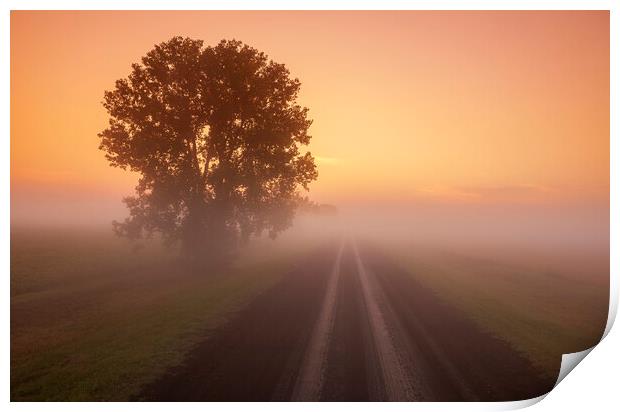 Country Backroad Print by Dave Reede