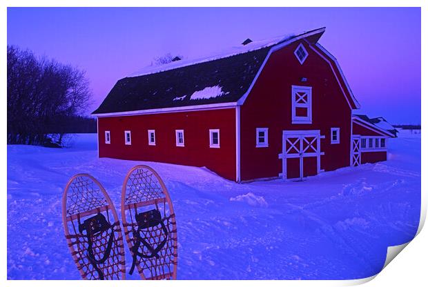Snowshoes in Front of red barn Print by Dave Reede