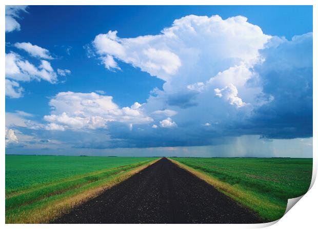 road through farmland with cumulonimbus cloud mass in the background Print by Dave Reede