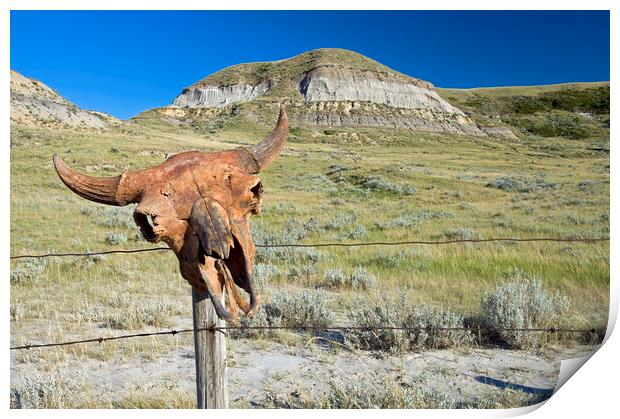 Old Buffalo Skull on Fence Post Print by Dave Reede