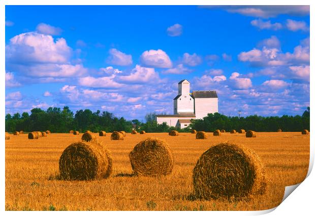 Straw Bales With Old Grain Elevator in the Background Print by Dave Reede