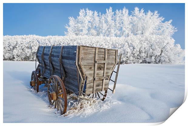 Wagon on a frosty day Print by Dave Reede