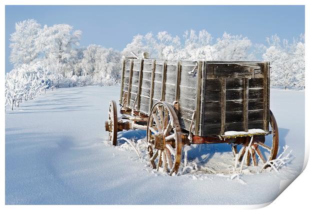 Wagon in the hoarfrost Print by Dave Reede