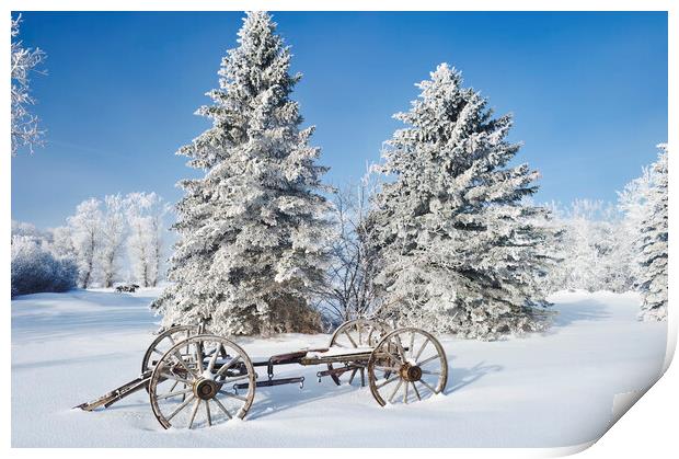 old wagon, hoarfrost on trees Print by Dave Reede