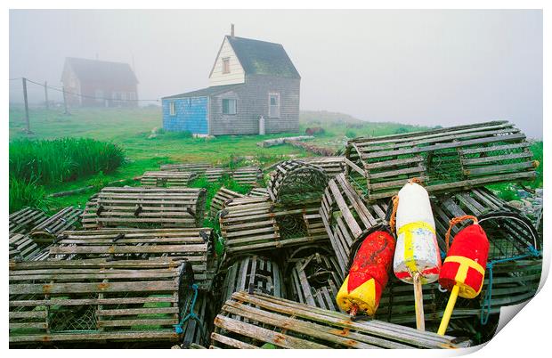old lobster traps and fishing shanties Print by Dave Reede