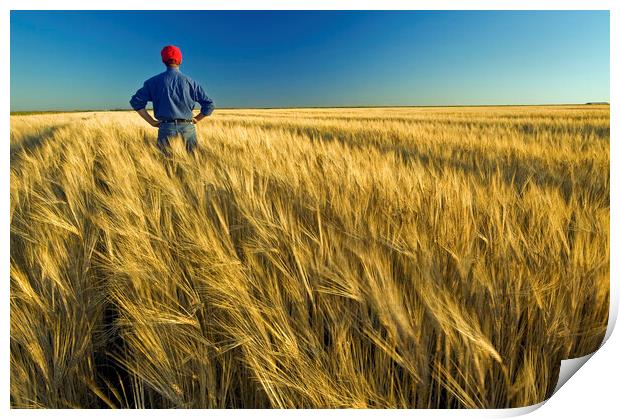 man in barley field Print by Dave Reede