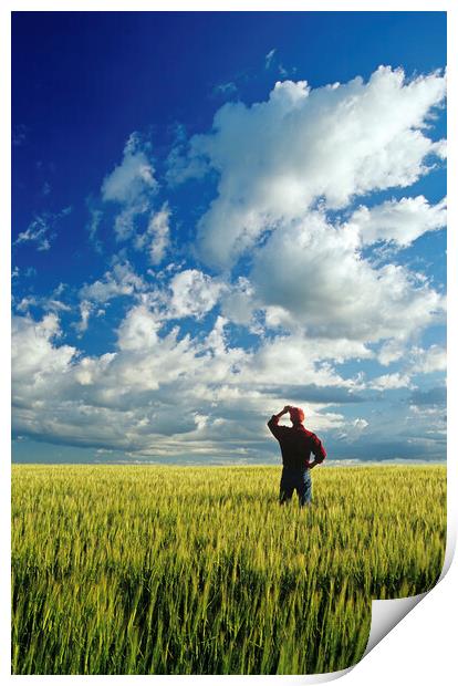 a man looks out over a barley field and sky with clouds Print by Dave Reede