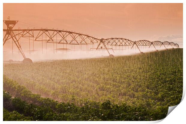 center pivot irrigation system Print by Dave Reede
