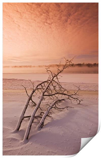 winter along the Winnipeg River Print by Dave Reede