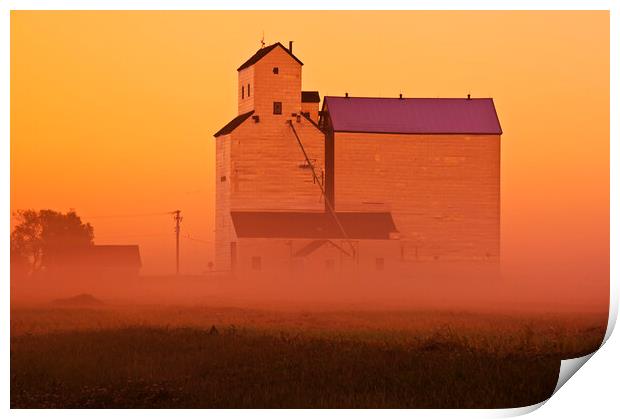grain elevator in early morning mist Print by Dave Reede