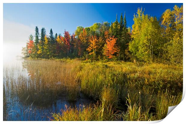 autumn, Bunny Lake Print by Dave Reede