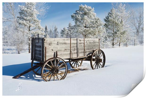 old wagon, hoarfrost on trees Print by Dave Reede