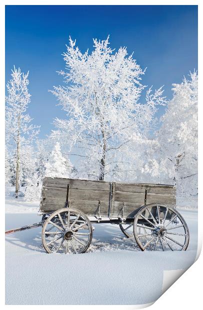 Wagon in the Hoarfrost Print by Dave Reede